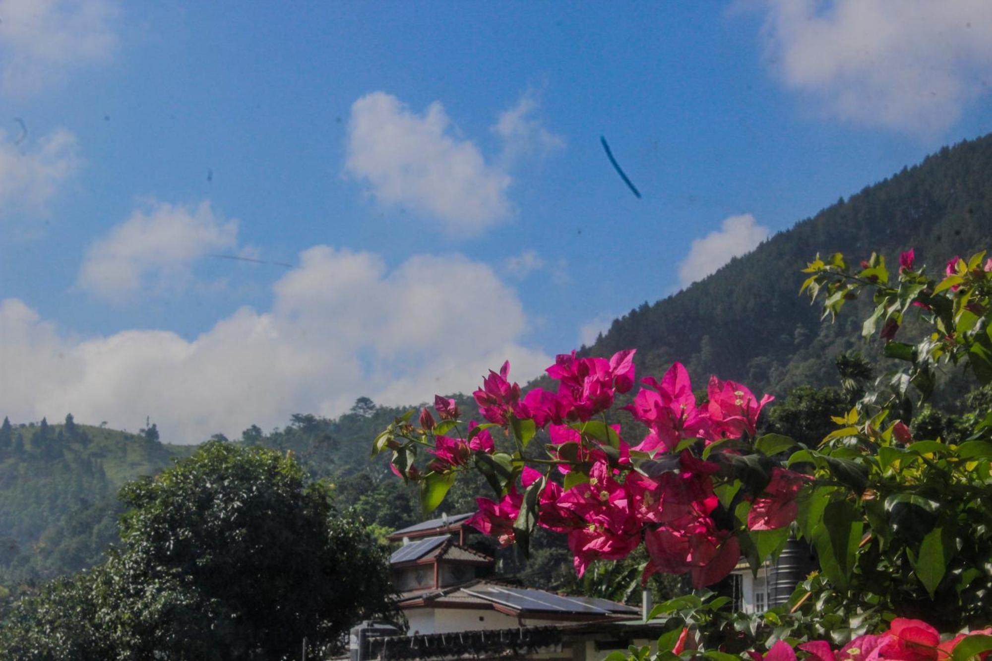 Villa Olde Ceylon Kandy Zewnętrze zdjęcie